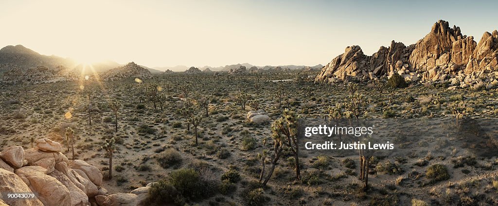 Panoramic high desert landscape at sunset