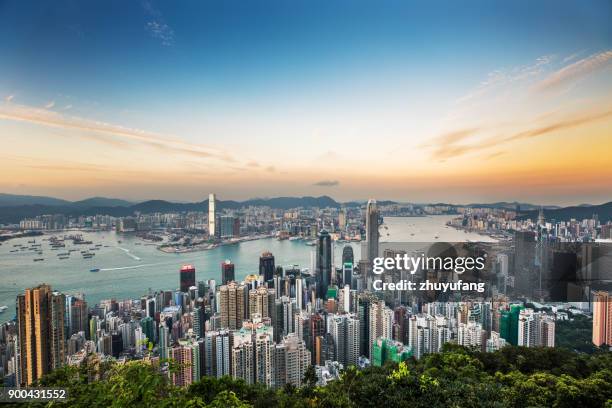 skyline de hong kong al atardecer - hong kong fotografías e imágenes de stock