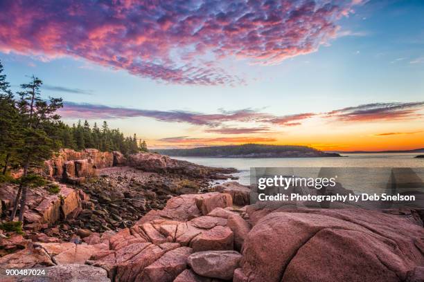 acadia coastal sunrise mount desert island maine - acadia national park stock pictures, royalty-free photos & images