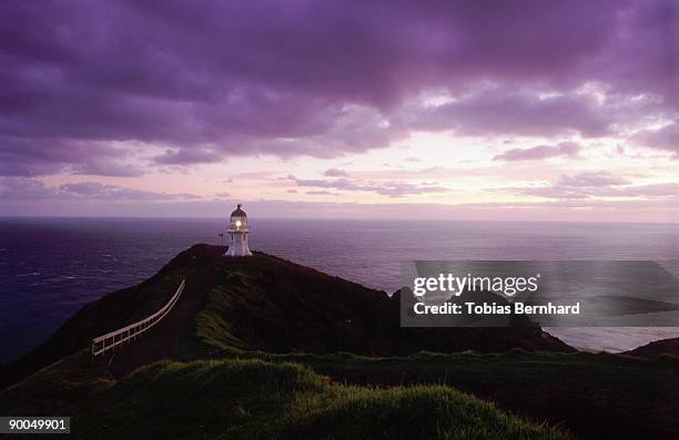 lighthouse on cliff: dawn  cape reinga, new zealand - cape reinga lighthouse stock pictures, royalty-free photos & images