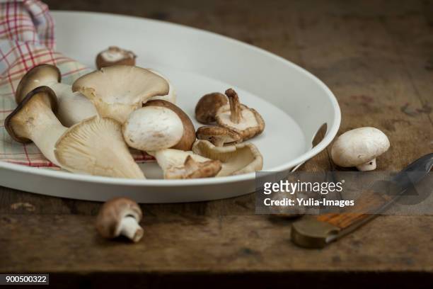 white plastic plate with mushrooms - plastic plate fotografías e imágenes de stock