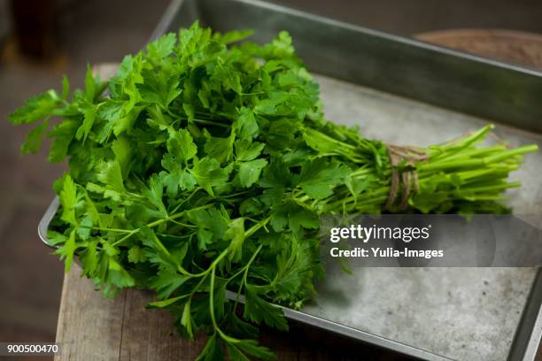 bunch of parsley background - curly parsley stock pictures, royalty-free photos & images