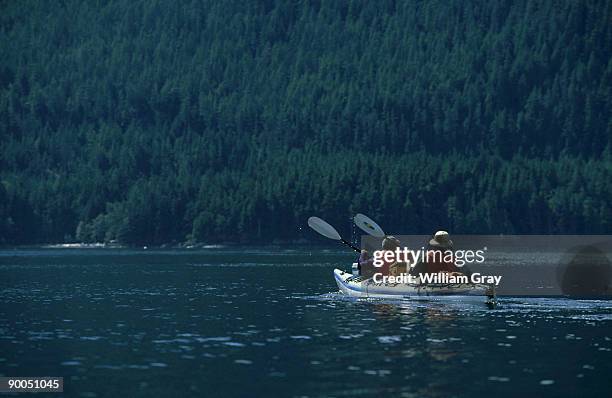 kayaking along the inside passage, johnstone strait, british colombia - inside passage canada stock pictures, royalty-free photos & images