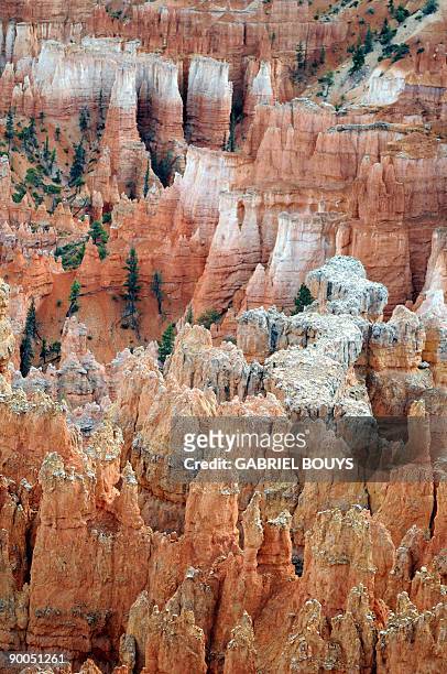 View of the Bryce Canyon National Park, Utah on August 24, 2009. Bryce Canyon is a small national park in southwestern Utah. Named after the Mormon...