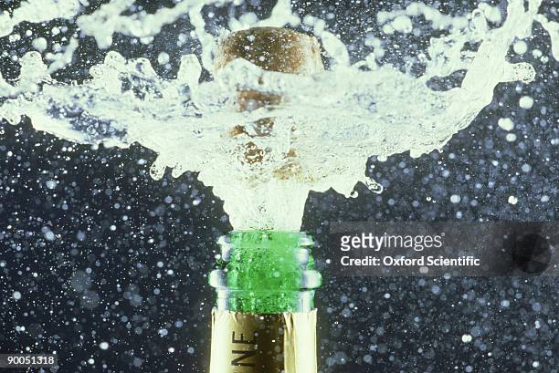 champagne exploding - super slow motion stock pictures, royalty-free photos & images