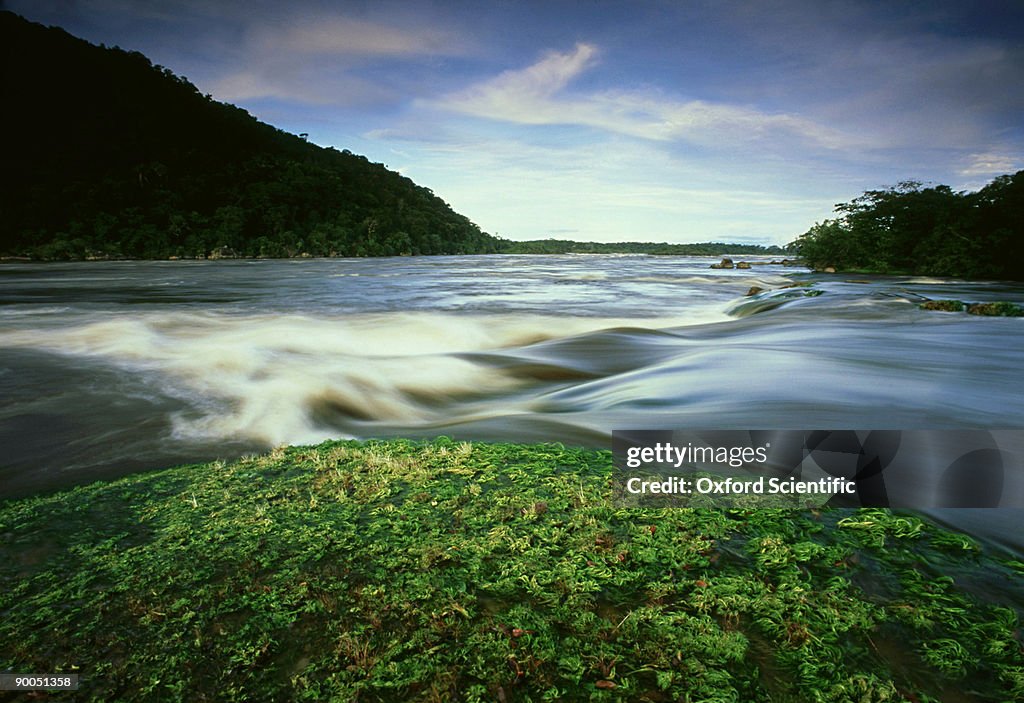 Maypures Rapids at high water, Tuparro, Eastern Lowlands, Colombia