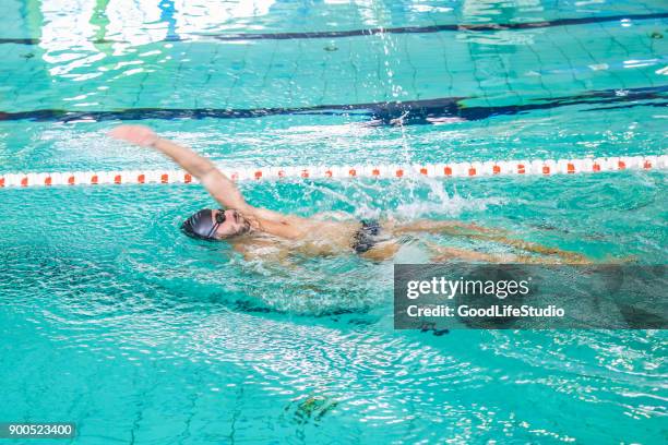 swimming in backstroke - backstroke stock pictures, royalty-free photos & images