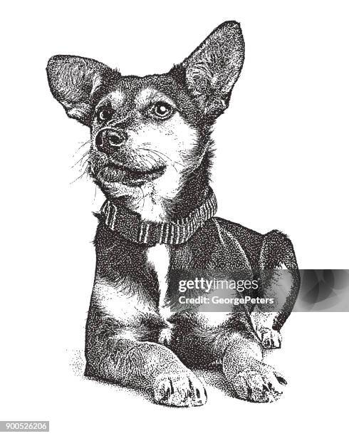 stockillustraties, clipart, cartoons en iconen met mezzotint illustratie van een duitse herder hound gemengd rashond wachten op goedkeuring - mixed breed dog