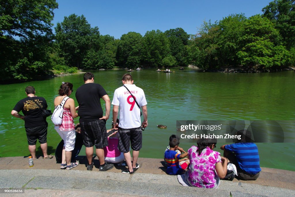 New Yorkers in central Park