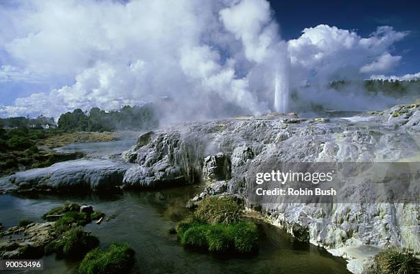 pohutu geyser, whararewarewa thermal area, rotorua, new zealand - géiser pohutu imagens e fotografias de stock