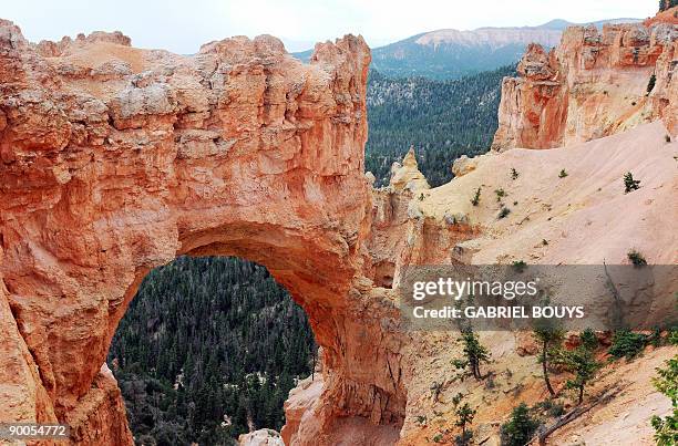 View of the Bryce Canyon National Park, Utah on August 24, 2009. Bryce Canyon is a small national park in southwestern Utah. Named after the Mormon...