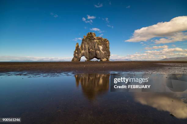 hvitserkur rock in northern iceland - rabbit beach - fotografias e filmes do acervo