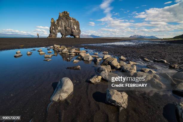 hvitserkur rock in northern iceland - rabbit beach - fotografias e filmes do acervo