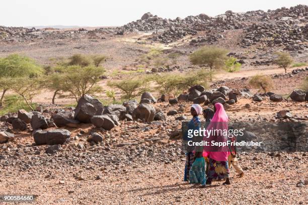 mujer joven en el desierto cerca de agadez niger - afrika afrika fotografías e imágenes de stock
