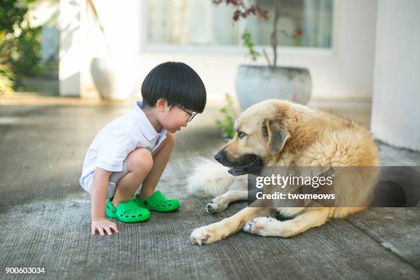 asian boy looking bonding time with pet dog. - ragazzo con cane foto e immagini stock