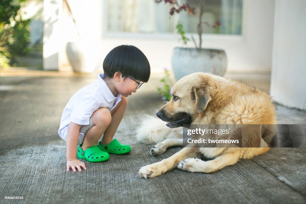 Asian boy looking bonding time with pet dog.