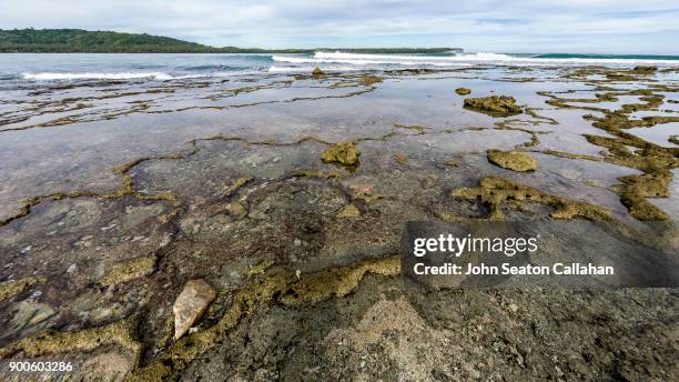 coral reef on nias island in north sumatra - nias island imagens e fotografias de stock