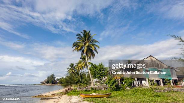 tropical beach on nias island in north sumatra - nias stockfoto's en -beelden