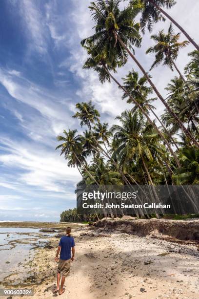 tropical beach on nias island in north sumatra - nias island imagens e fotografias de stock
