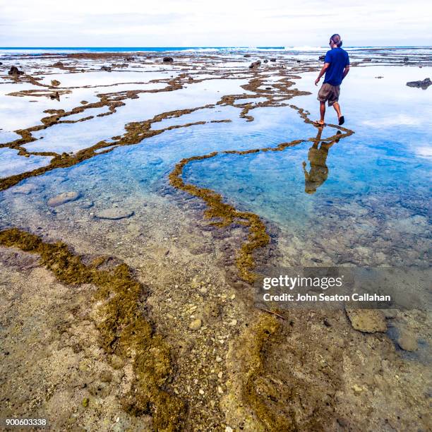 coral reef on nias island in north sumatra - nias island bildbanksfoton och bilder