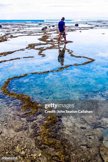 coral reef on nias island in north sumatra - nias island imagens e fotografias de stock