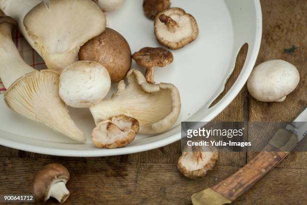 white plastic plate with mushrooms - plastic plate fotografías e imágenes de stock