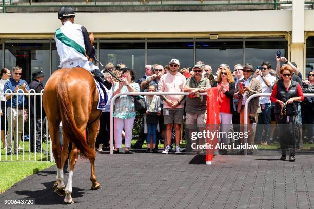 El Phoenix ridden by Mark Zahra returns to scale after winning the Sheamus Mills Bloodstock Plate at Ladbrokes Park Lakeside Racecourse on January...