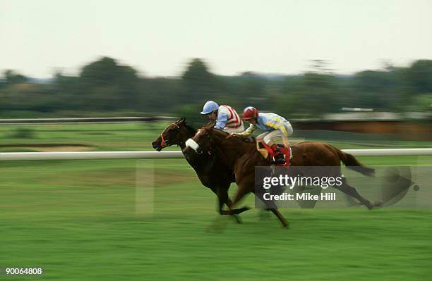 156,931 Two Horse Race Stock Photos, High-Res Pictures, and Images