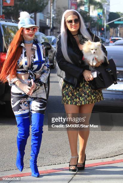 Phoebe Price and Sophia Vegas Wollersheim are seen on January 2, 2018 in Los Angeles, CA.