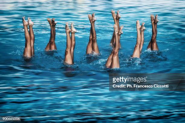 syncro - synchronized swimming stock pictures, royalty-free photos & images
