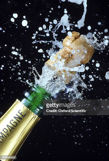 champagne cork popping - champagne cork stock pictures, royalty-free photos & images