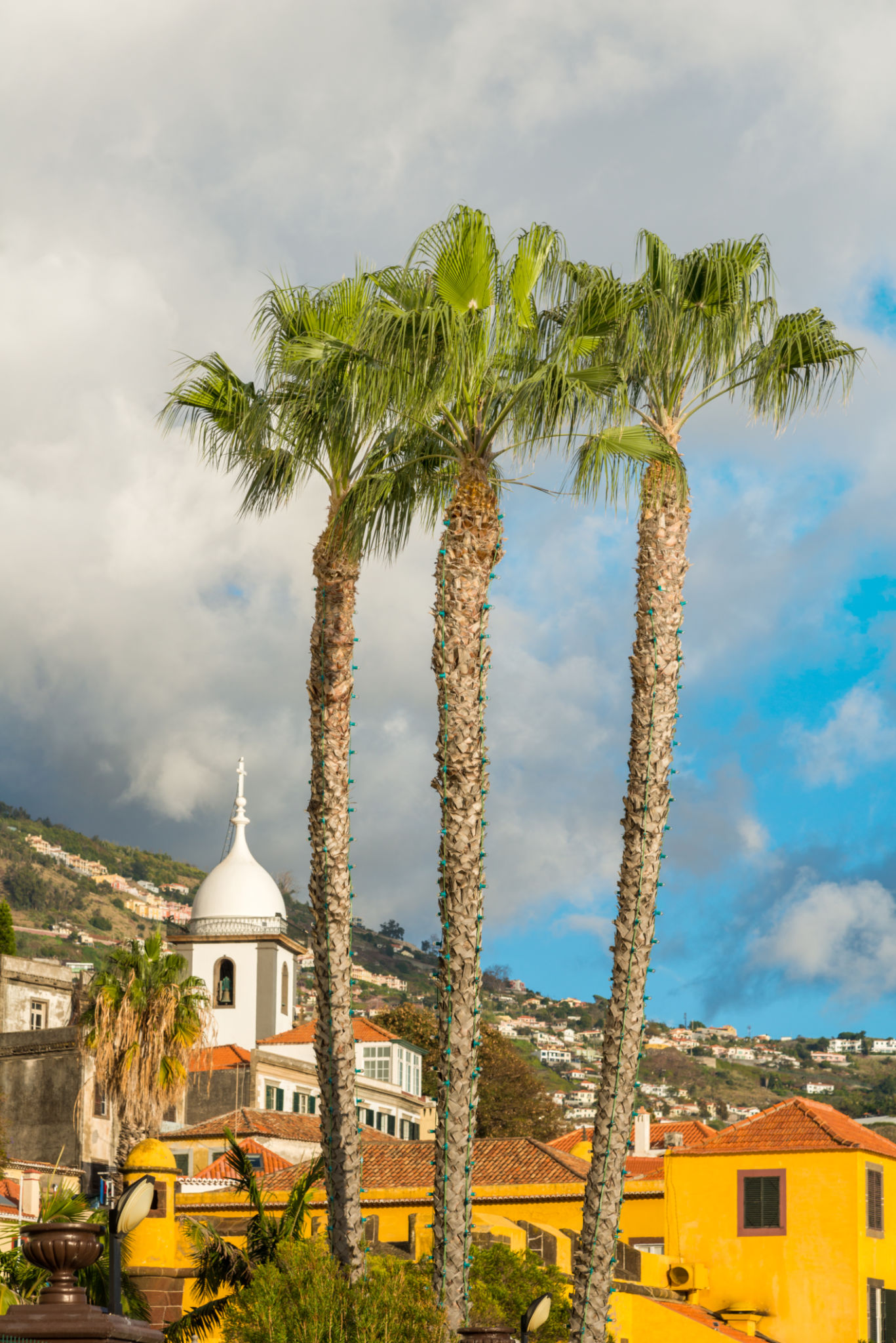 emigrantes funchal
