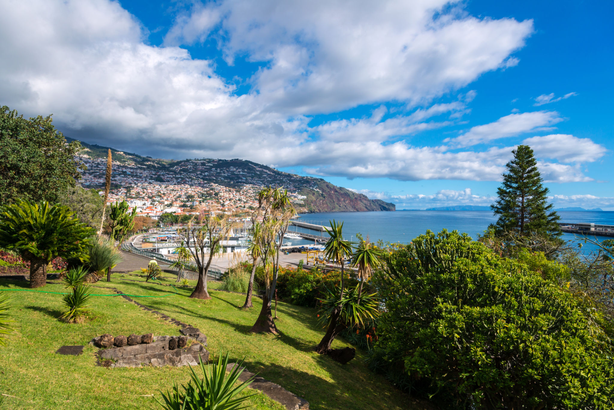 Funchal - Madeira, Portugal - city park with view to funchal bay Funchal - Madeira, Portugal - city park with view to funchal bay