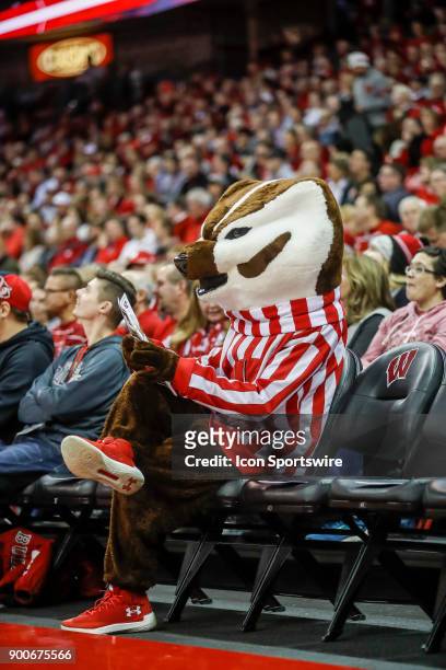 University of Wisconsin mascot Bucky Badger takes in some light reading during a college basketball game between the University of Wisconsin Badgers...