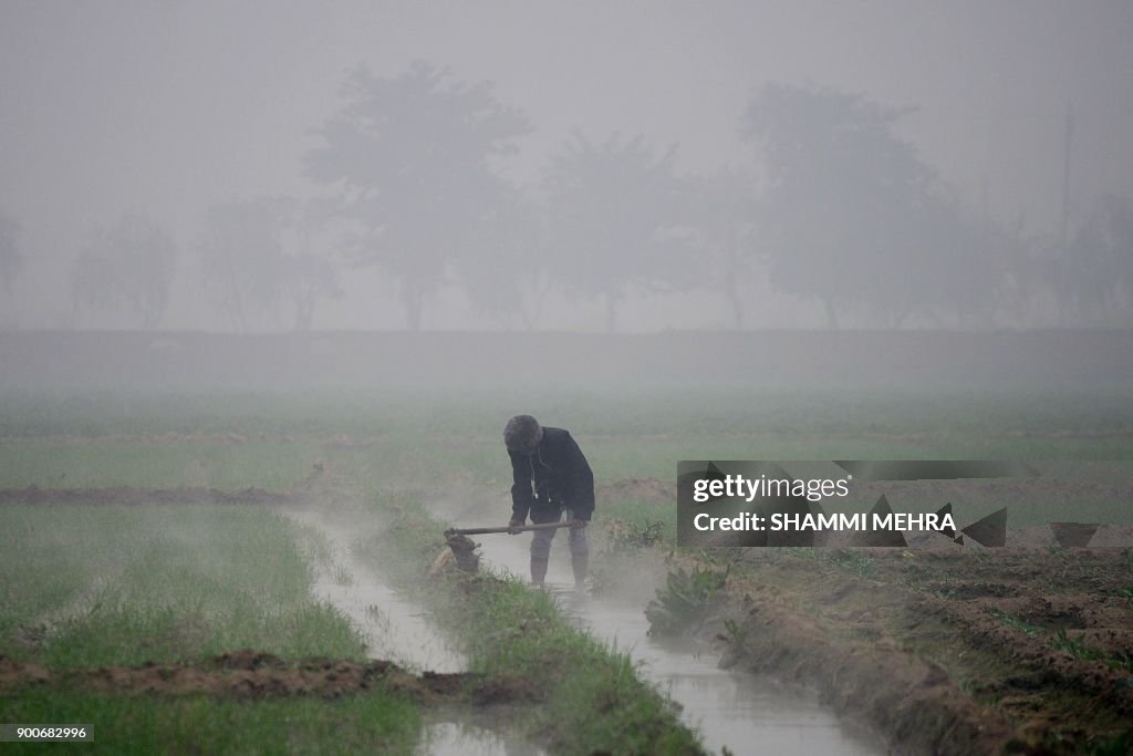 TOPSHOT-INDIA-AGRICULTURE-WINTER