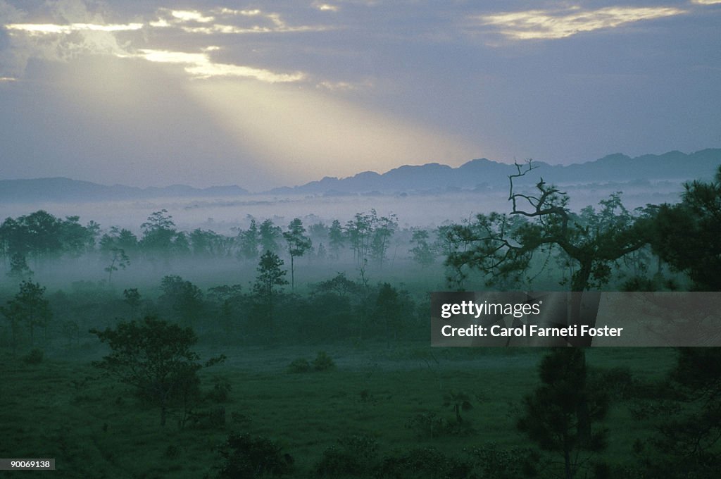 Sunrays over mountainous area: (maya mountains)