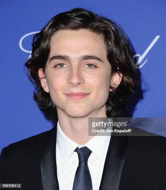 Actor Timothee Chalamet attends the 29th Annual Palm Springs International Film Festival Awards Gala at Palm Springs Convention Center on January 2,...
