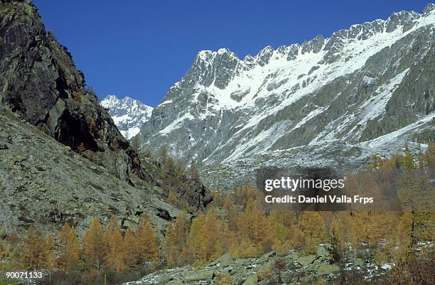 landscape in autumn with forest, snow and sun: ecrins, alps, france - valla stockfoto's en -beelden