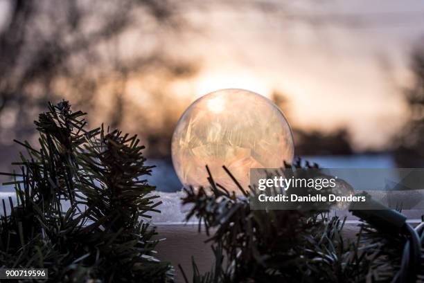 sun shining through a frozen bubble - danielle donders fotografías e imágenes de stock