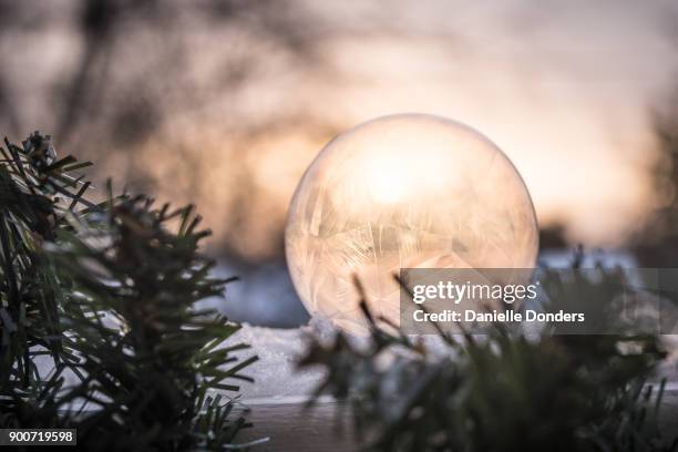 closeup of a frozen soap bubble at dawn - danielle donders fotografías e imágenes de stock