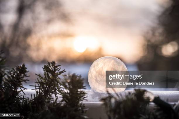 frozen bubble at sunset - danielle donders fotografías e imágenes de stock