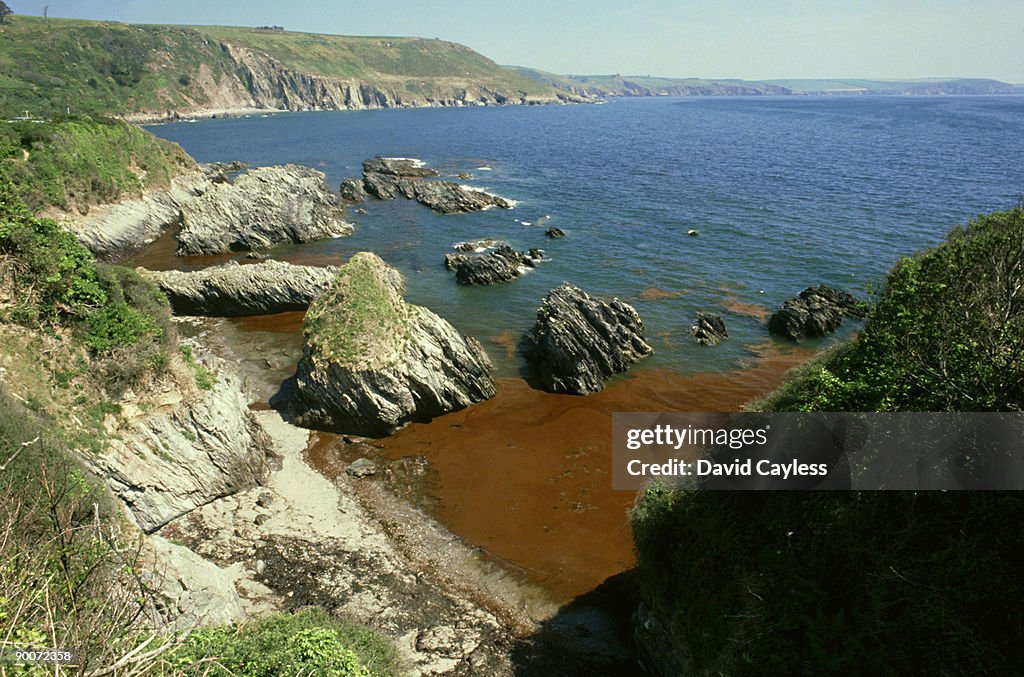 Oil pollution caused when the tanker rose bay & the trawler dionne marie collided. stoke beach, devon: