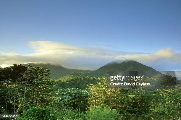 arenal volcano national park: costa rica - arenal volcano national park stock pictures, royalty-free photos & images