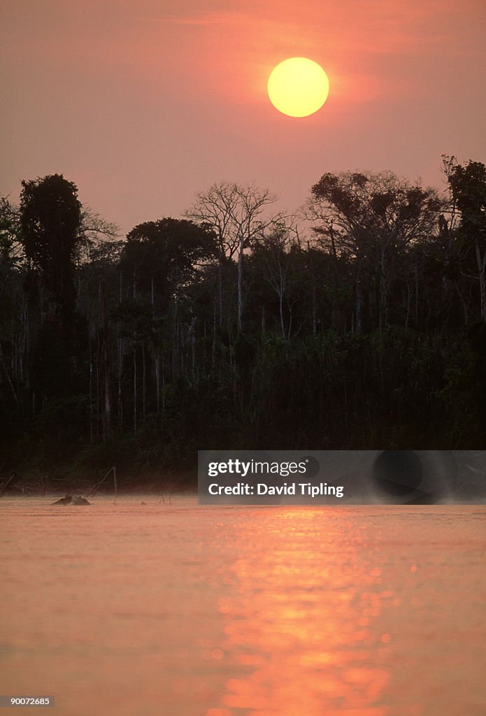 Sunrise over rainforest and manu river: manu, peru