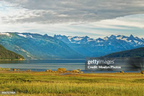 haines scenery - rio chilkat imagens e fotografias de stock