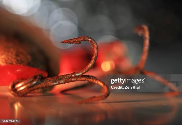 45 Rusty Fish Hook Stock Photos, High-Res Pictures, and Images - Getty  Images