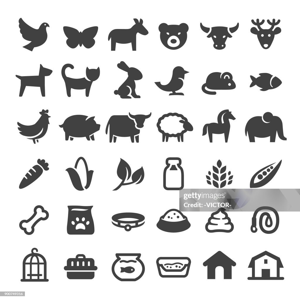 Animali domestici e icone dello zoo - Grande serie