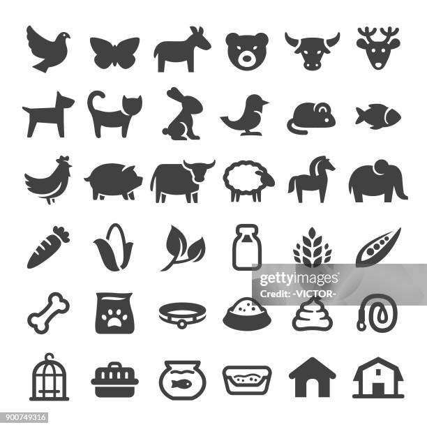 pets and zoo icons - big series - dog bowl stock illustrations