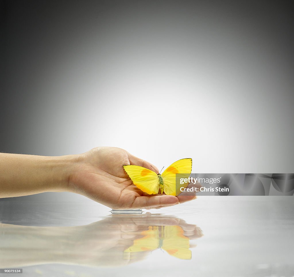 Woman holding buttercup butterfly over a water