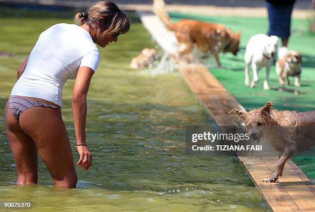 Roman canines beat dog days of summer A dog and its owner cool off in a pool at a beach for dogs on the Tiber river in Rome on August 24, 2009 ....